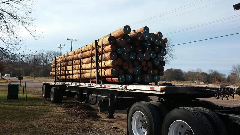 telephone pole transit